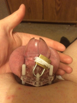 Small Penis Humiliation: 4 Inches of Clitty Cock Locked