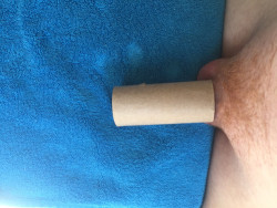 Ginger Dick’s Attempt at the Toilet Paper Roll Test