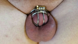 Loser Penis Fits Into Tiniest Chastity on the Market