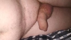 Tiny Dick Tuesday