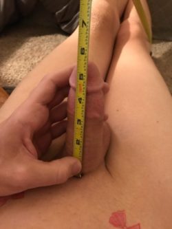 1 Dick Measuring Pic Explains it All