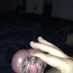 The only way my little dicklet is allowed to cum