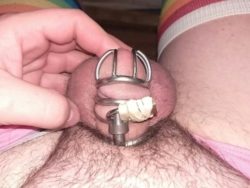 Just got a new chastity device!