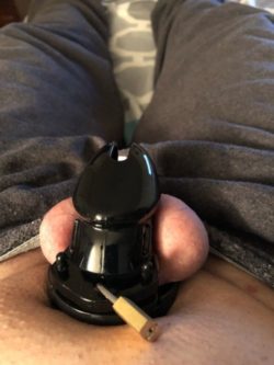 Locked up in chastity now so my BBW can cheat