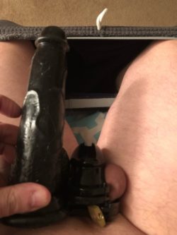What my wife likes vs my cock in chastity