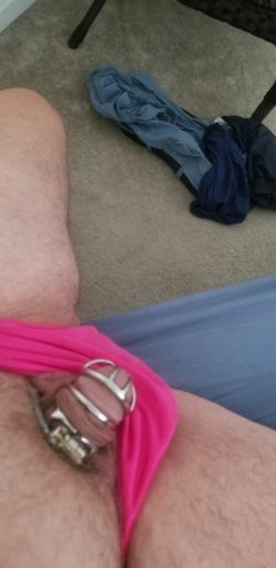 My tiny caged cock with pink panties