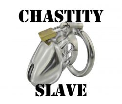 Important Factors in Male Chastity