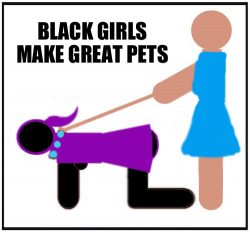 Black Girls Make Great Sex Toys