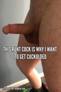 Runt Cocks Like Me Need to Get Cuckolded