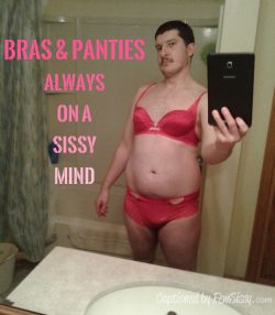 Sissy loves his bra and panties