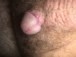 Please let me know if this is an acceptable cock!