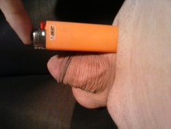 MICRO-dick-MONDAY