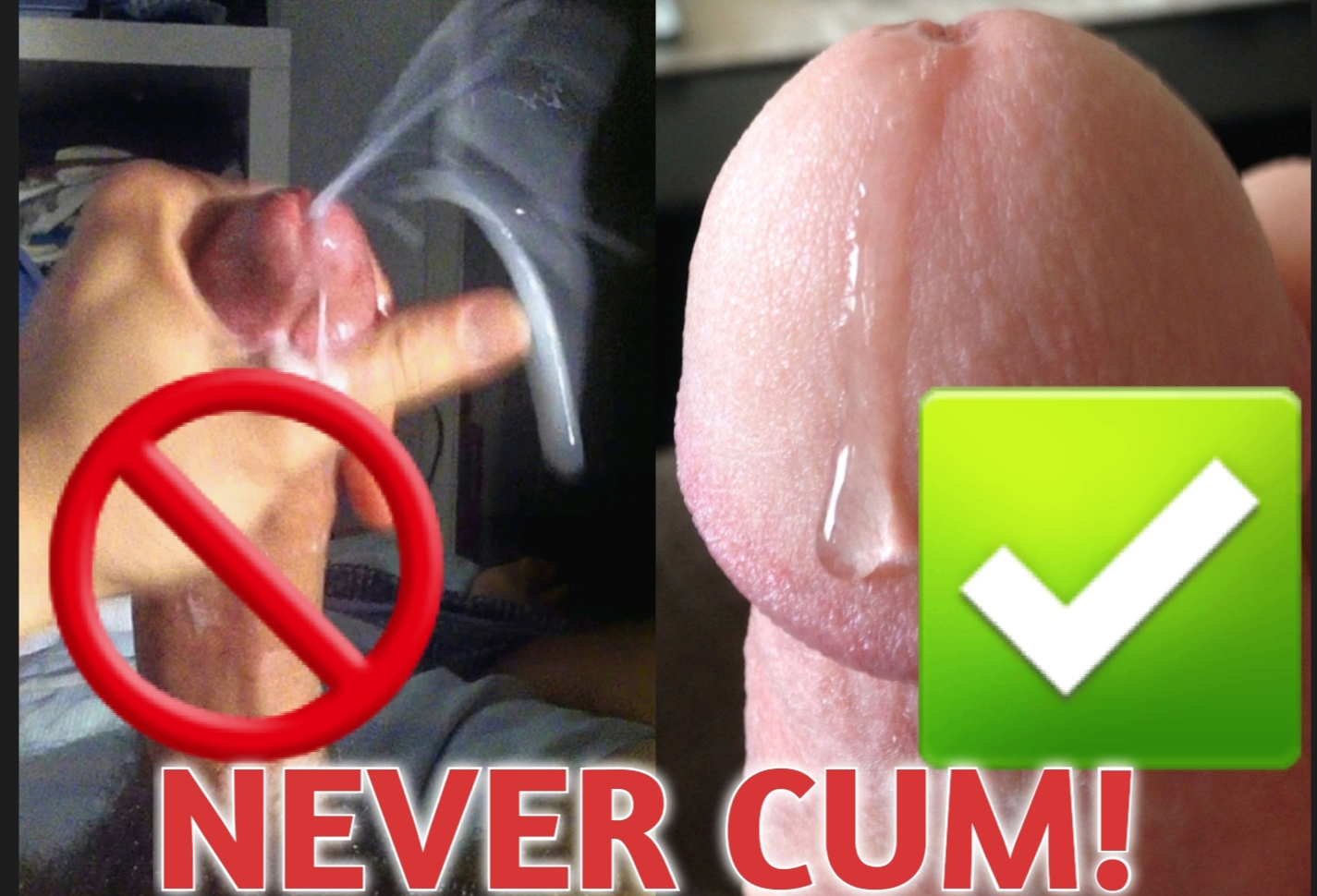 No Cumming Allowed Bitch NoNutNovember Freakden