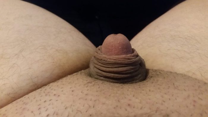 Extreme Micro Penis For Sph Freakden