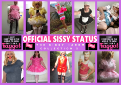 Sissy Harem Collection 2