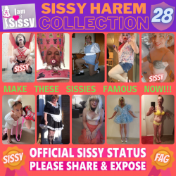 Sissy Harem Collection 28