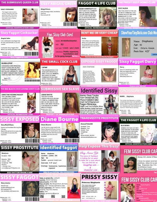 Sissy id’s found online.