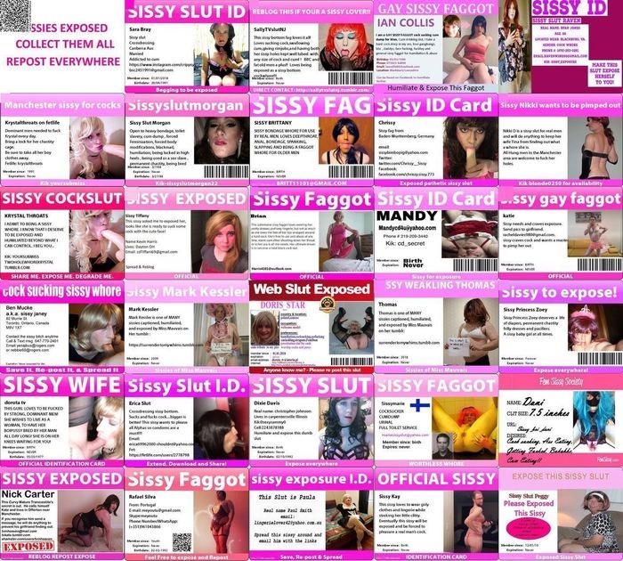 Sissy id’s found online.