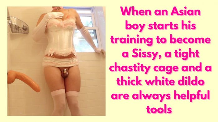 Sissy Asian Porn - Asian sissy bwc training essentials - Freakden