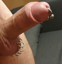 please rate my pierced dick
