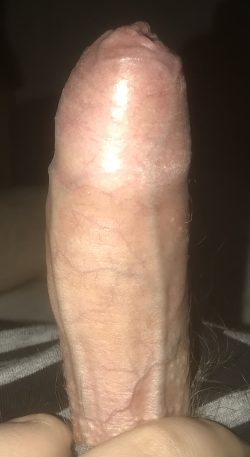 Hey, just looking for women to give honest reviews of my dick. I’m 23, just short of 6 inches in ...