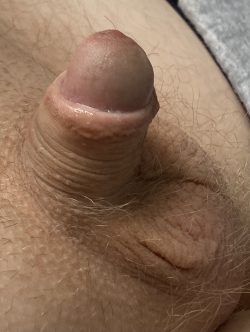 Share and expose my cock