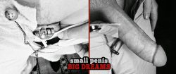 Small penis, big dreams.