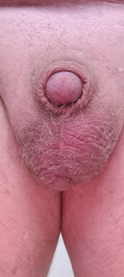 My hard clitty