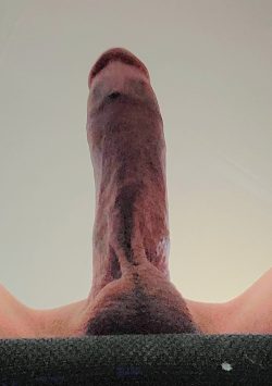 Hard Thick Cock Pointing Straight Up with Smooth Balls on the Edge of the Chair. Look up!