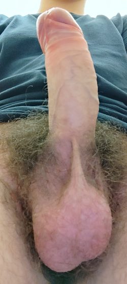 Rate my dick!