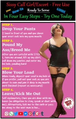 How-to-guide to using a sissy the right way!