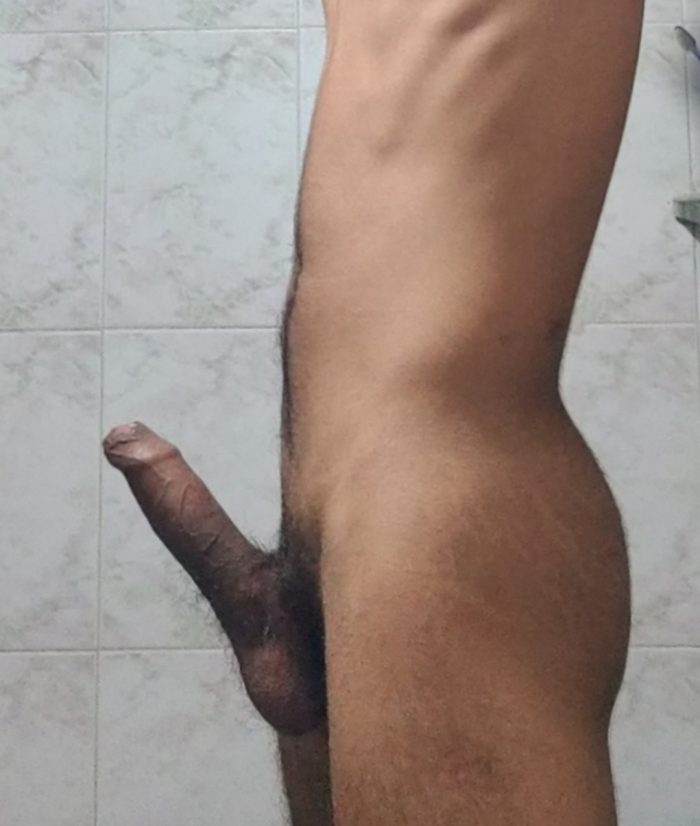 Indian cock