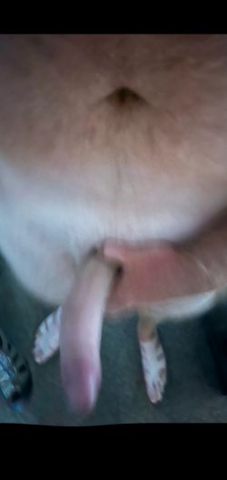 Do u like my Uncut cock