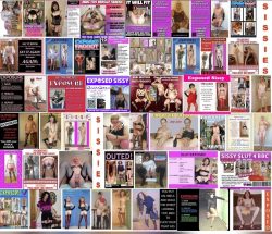 Massive sissy collage