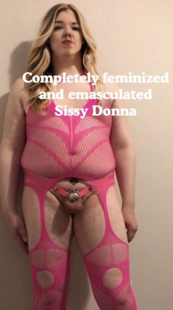 Sissy Donna totally emasculated and feminized. A pink fishnet bodysuit is perfect attire for her ...