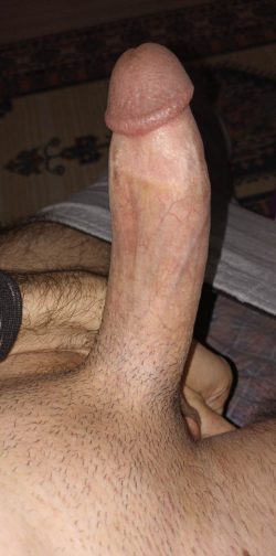 can you rate my cock ?