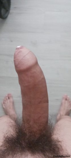 Anyone wanna lick the pre-cum off this cock?