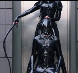 Mistress need a new submissive and obedient slave to own, if you’re interested pm on kik:  ...