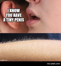 I know you have a tiny penis