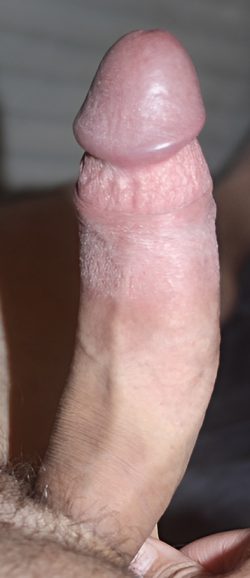 My small hard French cock