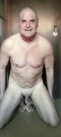 BDSM slave always naked shaved with collar