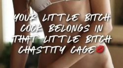 Little bitch cocks belong in chastity cages