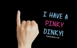Pinky Dinky Dick