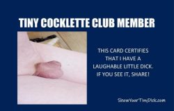 Tiny Cocklette Club Member