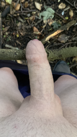 Dick on a branch