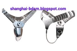 2024 Permanent Stainless Steel Chastity Belt Bombardier Global X