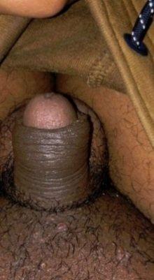 Rate my dick fr women