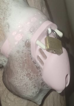 Sissy cocksucker in chastity cage