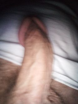 Hard cock