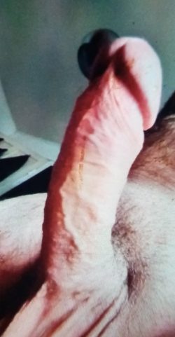 Hard cock